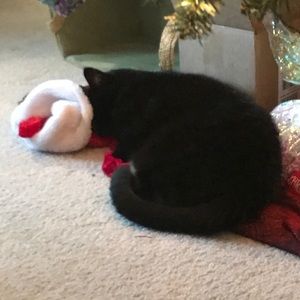 Meet your Posher, Todd